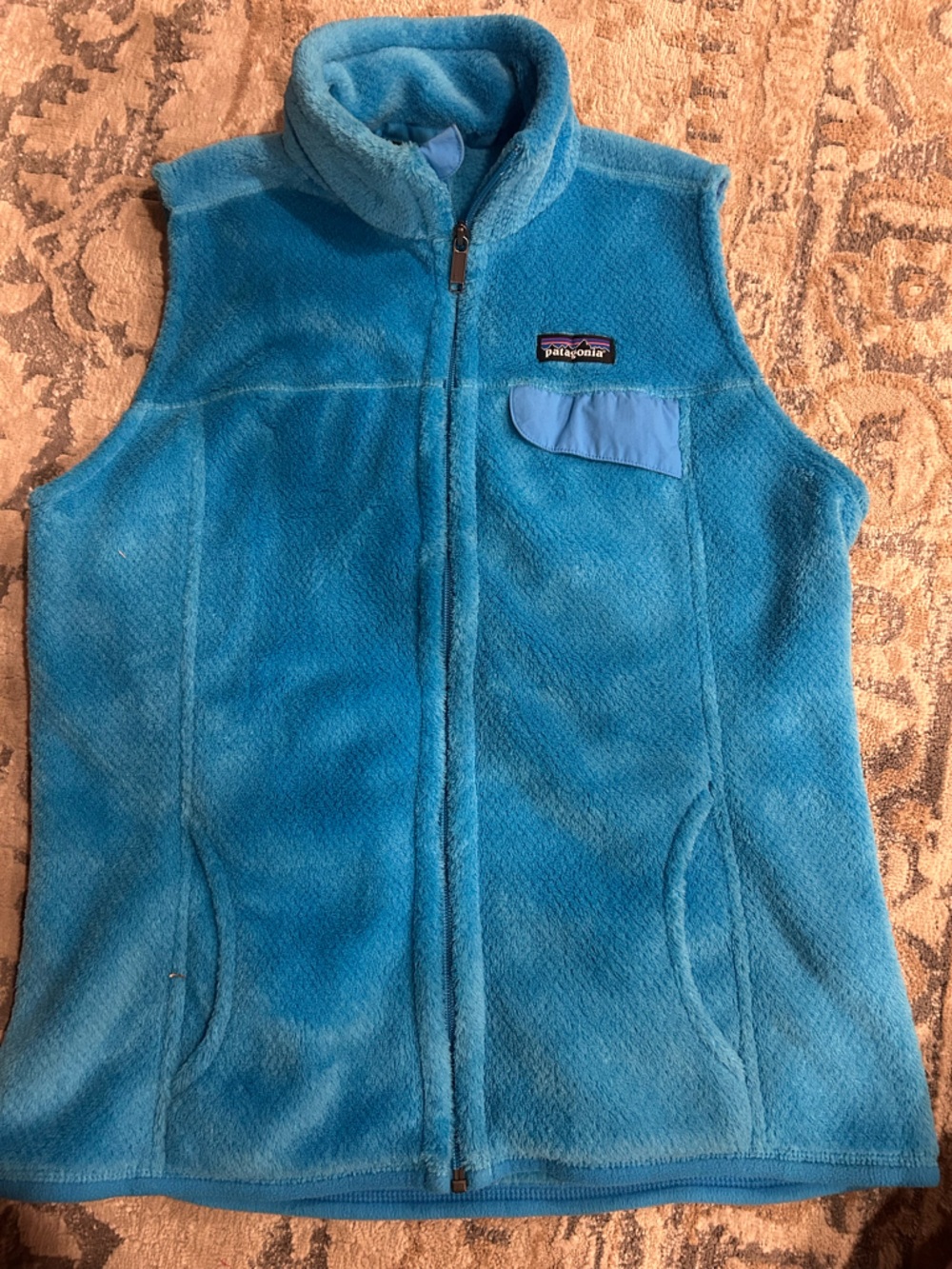 Patagonia Light Blue Vest
